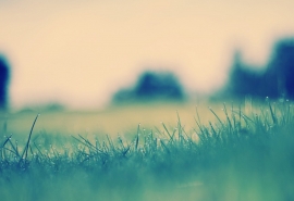 用快乐的句子形容快乐骑马的句子