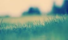 形容骑马开心的句子 骑马的唯美句子