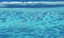 我真的开心的句子 真开心句子