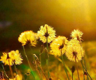 2017早安励志句子，早安励志句子集合1