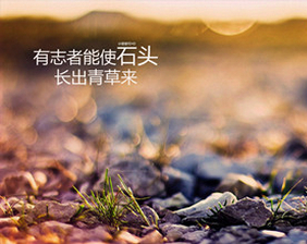 痛苦而鼓舞人心的一句话：眼泪，品味自己。痛苦，自己拿。将来，自己去做。