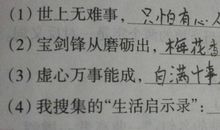 积累的名言名句