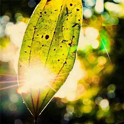 简短的早上好励志句子和图片简短的早上好励志句子和图片1