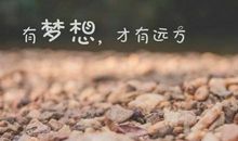 励志的句子经典用语大全【精选25句】