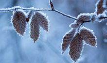 2020霜降说说发朋友圈开心句子