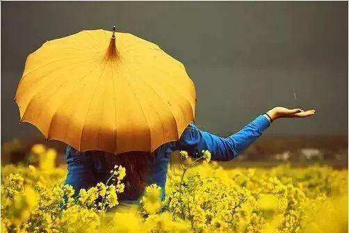 关于感激和幸福的句子非常幸福和感激的句子2