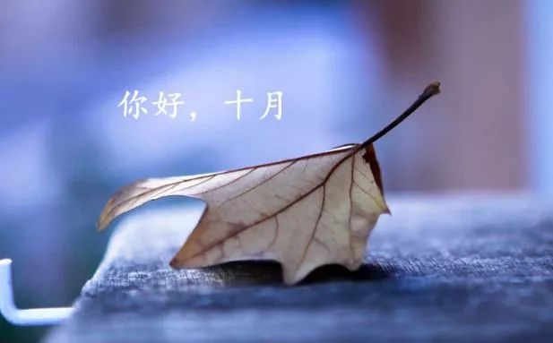 十月你好美丽的句子谈论发送给朋友圈2