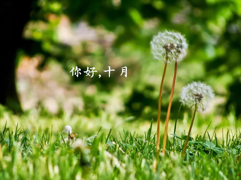 十月你好美丽的句子与朋友圈1