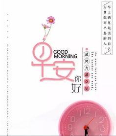 发送一个吸引朋友圈中的女孩的句子