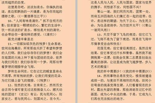 2020年最热的报价