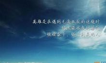 简短干净的个性签名