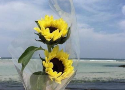 利东时刻的朋友交谈简单