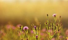 简短阳光温暖的签名