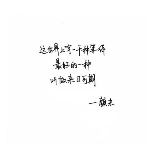 灵魂鸡汤情感悲伤行情