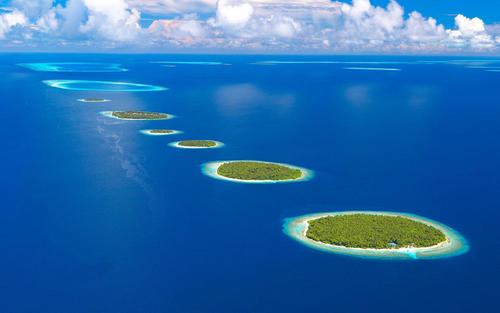 强调环境情绪和幸福感的句子。对环境的描述增强了角色的快乐感。 1个