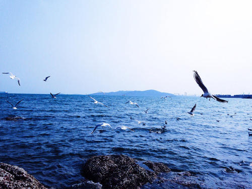 很高兴看到大海的句子，很高兴看到大海的句子，简单2