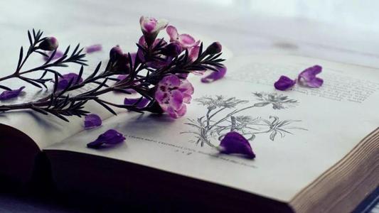 春节期间开心的句子春节期间开心的句子2