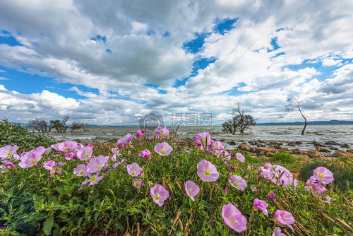 春节期间开心的句子春节期间开心的句子