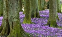 祝姐妹聚会开心的句子 姐妹们聚会开心语短句