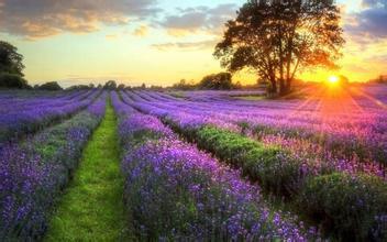 很高兴见到合适的人句子使您快乐的人是合适的人1