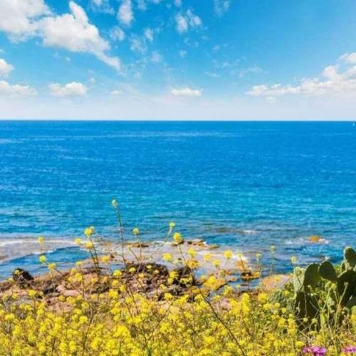 高兴见到合适的人句子让你快乐的人就是合适的人2