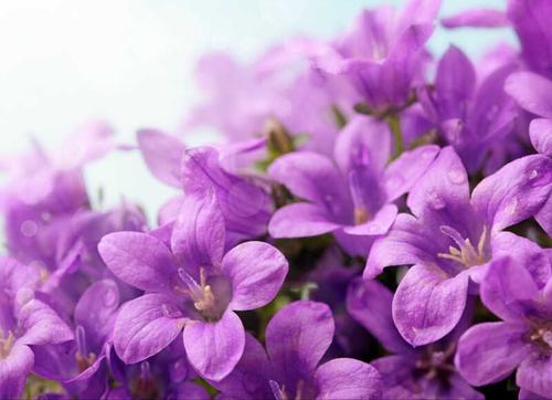 亲戚的快乐句子谈论与亲戚在一起的心情