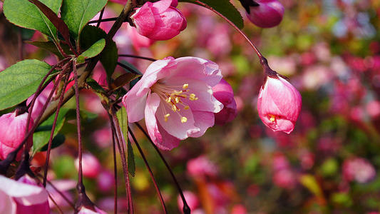 亲戚的快乐句子谈论与亲戚在一起的心情1