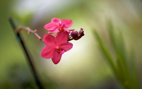 快手快乐句子快手快乐句子1