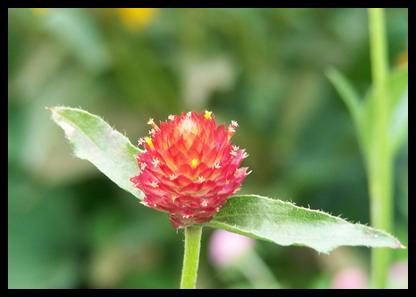 快乐和阳光的句子，谈论心情，谈论心中的阳光句子