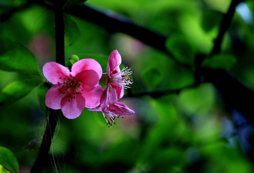 快手快乐句子快手快乐句子2