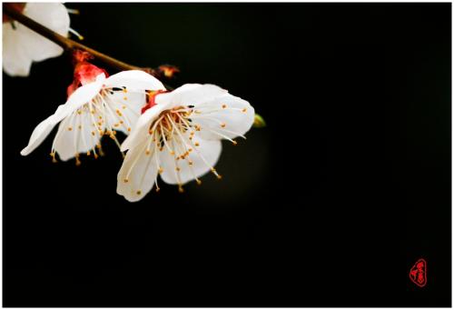 带有快乐心理活动的句子带有快乐心的句子2