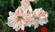 得到鼓励很开心的句子 鼓励的话语和激励话