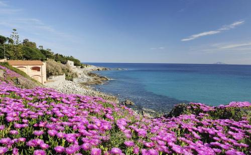 祝贺孩子高考愉快