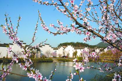 使别人感到快乐的句子使人感到温暖和快乐的句子