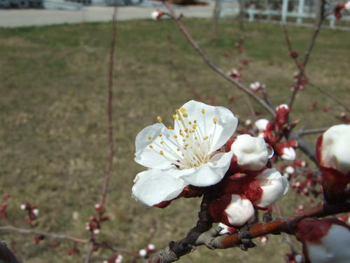 使他人感到快乐的句子使人感到温暖和快乐的句子1
