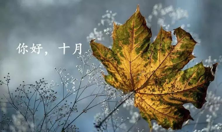 十月你好句子励志1