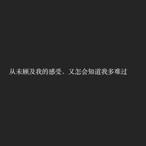 我不后悔的审美句子