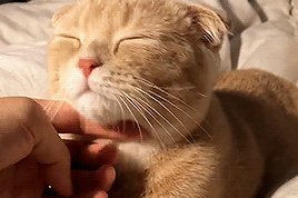 描述遗憾和不珍惜的句子1