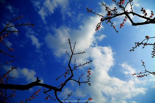 今天非常高兴的句子今天非常高兴的句子