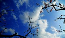 说说今天很开心的句子 表达今天很开心的句子