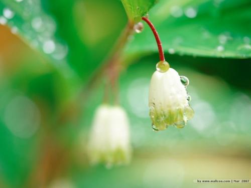 谈论今天非常快乐的句子今天非常快乐的句子2