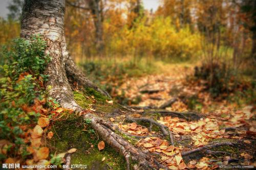 希望自己的女人幸福的句子希望她的女人幸福的句子2