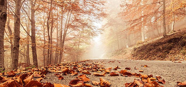 希望她的女人快乐的句子，谈论她的心情，希望她每天快乐的句子1