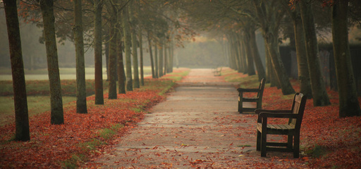 出差时带快乐心情的句子2出差时带快乐心情的句子