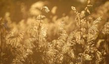 希望自己的女人开心的句子说说心情说说 希望她每天开心的句子