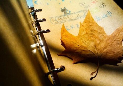 关于想要幸福的人的句子，谈论心情，启发心情，并温暖人心。 1个