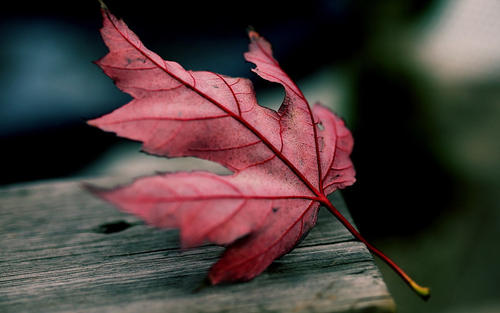 安慰朋友的快乐句子谈论情绪短语希望朋友快乐的句子1