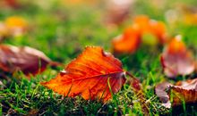 女人开心的心情句子 女生今天开心短句