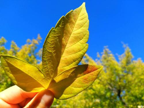 30个单词来描述一个幸福的句子,30个单词来描述一个幸福的心情2