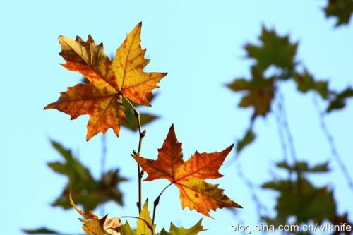 一个男孩说他要我快乐的句子一个男孩说他要我快乐的句子1